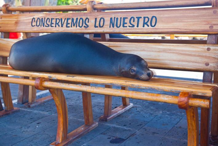 Casa Playa Marinos * Puerto Baquerizo Moreno